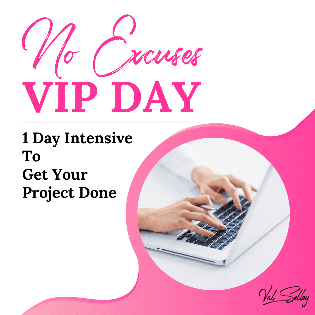 no excuses business vip day